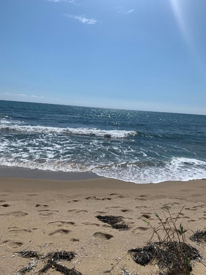 Аппартамент Pines Beach Resort Bjala Exteriör bild